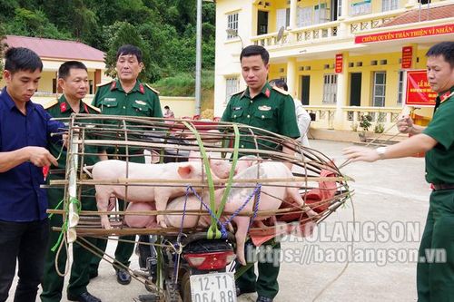 Đoàn Kinh tế Quốc phòng 338 giao con giống hỗ trợ người dân phát triển kinh tế