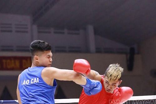 Giải vô địch Boxing các đội mạnh toàn quốc 2023: Lào Cai giành 5 huy chương