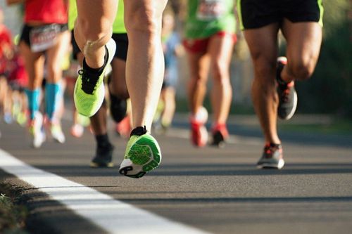 Giải chạy ảo vì chó, mèo đầu tiên ở Việt Nam