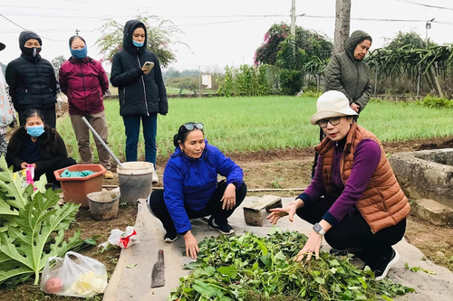Bà Liên 'mê' giun quế