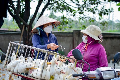 Chợ gia cầm lớn nhất miền Bắc nhộn nhịp trước kỳ nghỉ Giỗ Tổ và 30/4