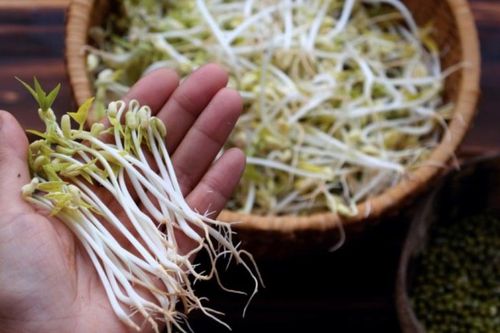 6 mẹo giúp nhận biết giá đỗ ngon, không chứa chất kích thích, đảm bảo sức khỏe an toàn cho cả gia đình