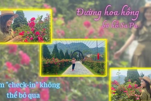 Đường hoa hồng - điểm 'check-in' không thể bỏ qua khi đến Sa Pa