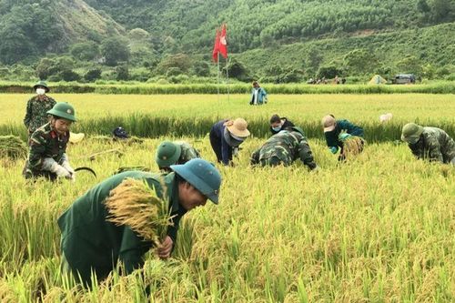 Giúp đồng bào biên giới thay đổi phương thức sản xuất