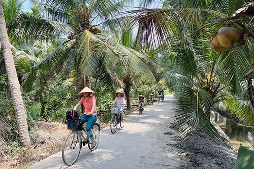 Hấp dẫn du lịch cộng đồng xứ dừa