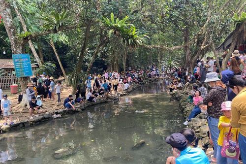 Đông đảo du khách đến ngắm suối cá thần Cẩm Lương trong kỳ nghỉ lễ 30/4-1/5