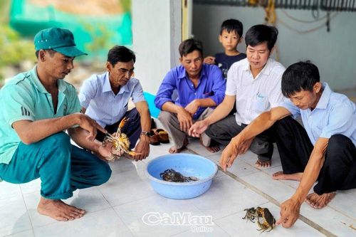 Làm giàu ở quê mới