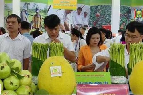 Hà Nội triển khai Chương trình Khuyến mại tập trung từ 18/5