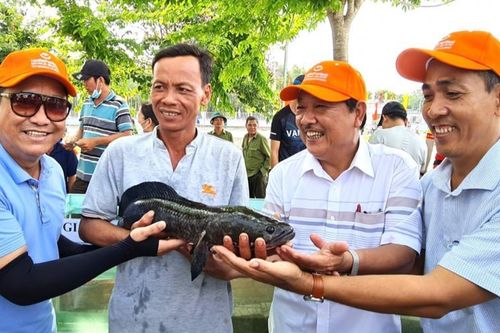 Cà Mau: Khách tăng đột biến, tổng thu du lịch kỳ nghỉ lễ tăng 211%