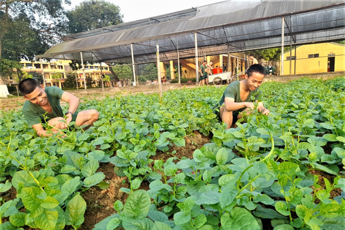 Khi chiến sĩ làm vườn