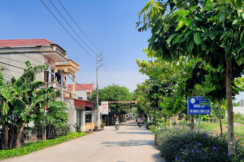 Chung sức làm thay đổi diện mạo làng quê