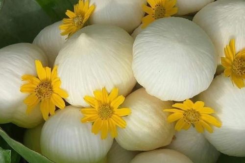 Đặc sản miền Tây giá 200 ngàn/kg tràn ra Hà Nội