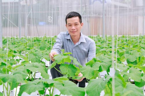 Sản xuất nông nghiệp theo tín hiệu thị trường