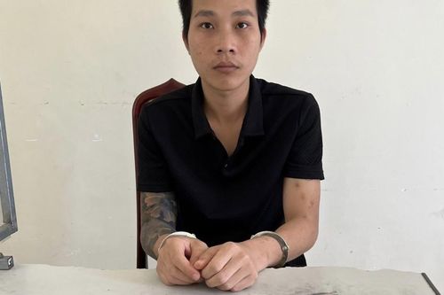 Khởi tố đối tượng lừa bán cây cảnh, chiếm đoạt hàng trăm triệu đồng