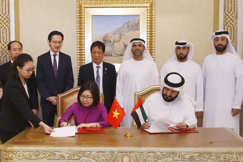 TTXVN đẩy mạnh hợp tác với Hãng thông tấn WAM của UAE