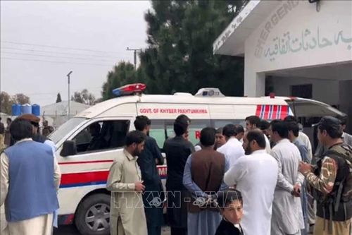 Xả súng tại trường học ở Pakistan làm 7 giáo viên thiệt mạng
