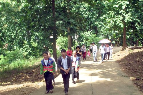 Những quả đồi ở thung lũng Mường Thanh