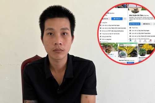 Lừa bán cây cảnh qua mạng xã hội, nam thanh niên chiếm đoạt hơn 300 triệu đồng