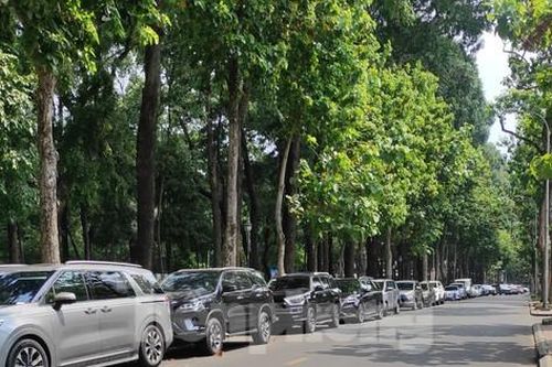 TPHCM tăng cường phạt nguội giao thông, các tuyến đường nào nhiều phương tiện vi phạm?