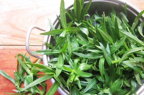 Rau ngổ có tác dụng gì?