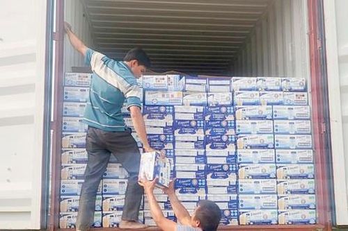 Bắt giám đốc công ty nhập lậu sữa từ Mỹ về Việt Nam