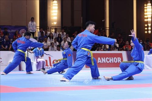 Vovinam, Pencak Silat mang thêm huy chương về cho Đoàn Thể thao Việt Nam