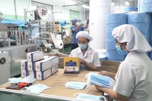 Cổ phiếu bị cảnh báo, Danameco lỗ gần 24 tỷ trong 3 tháng đầu năm