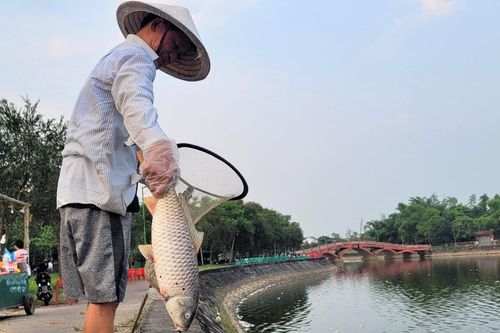 Cá chết trắng hồ điều hòa lớn nhất TP Hà Tĩnh