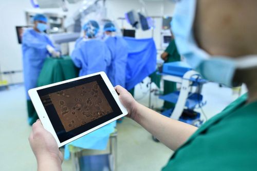 Có nên kết hôn khi bạn trai không có tinh trùng?