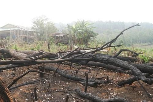 Lâm tặc phá lều, đốt trại, giăng 'bẫy đinh' đối phó lực lượng tuần tra