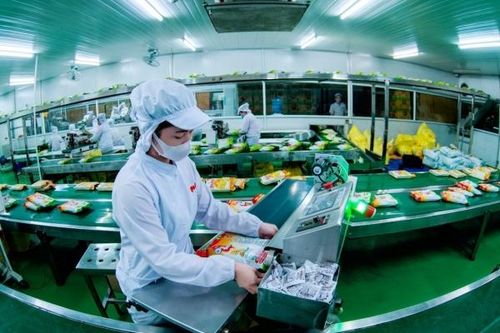 Tinh thần chủ động, tích cực hội nhập kinh tế quốc tế của Việt Nam qua nỗ lực gia nhập và trở thành thành viên WTO - Thành tựu và triển vọng