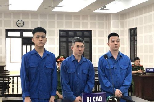 Băng nhóm lừa đảo bằng ứng dụng mạo danh Bộ Công an lãnh án