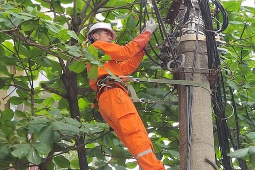 Doanh nghiệp điện trước kỳ vọng cải thiện lợi nhuận