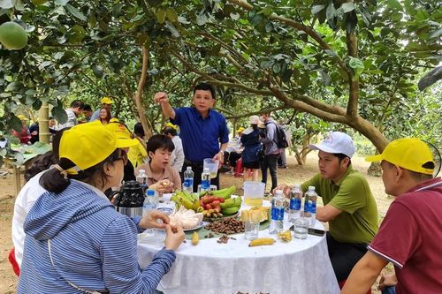Một HTX ở Quảng Ngãi giúp nông dân 'chân lấm, tay bùn' trở thành hướng dẫn viên du lịch