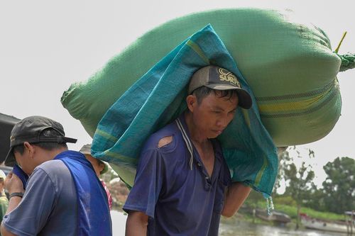 Cuộc mưu sinh trong cơn nắng nóng của người miền Tây