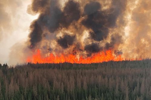 Alberta cầu cứu quân đội Canada