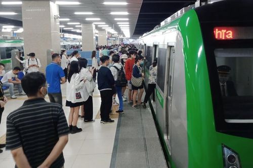 Công ty vận hành tàu Cát Linh - Hà Đông lãi gần 100 tỷ đồng