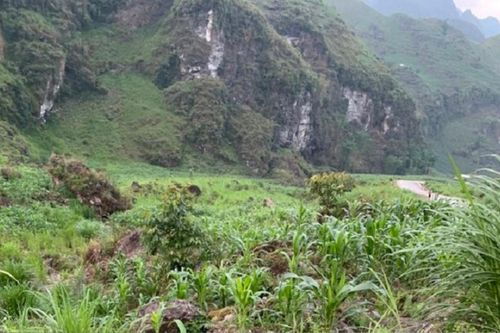 Vụ cô giáo bám bản gặp tai nạn tử vong: Phú Thọ sẵn sàng tiếp nhận người chồng