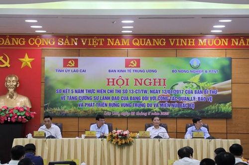 Tăng cường công tác quản lý, bảo vệ và phát triển rừng vùng Trung du và miền núi Bắc Bộ
