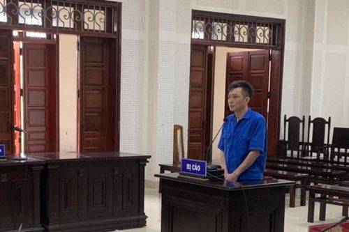 Mua hóa đơn khống, trốn thuế, nhiều đối tượng bị khởi tố