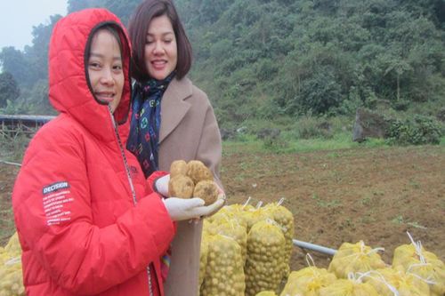 Nữ diễn viên bỏ nghề múa, lên núi cao 'biến' đất hoang thành vựa rau tiền tỷ