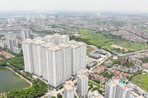 Cứ đúng luật mà làm!