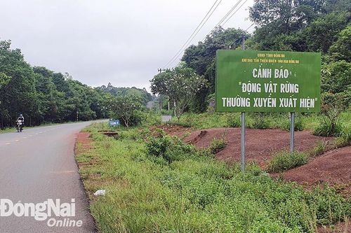 Thủ tướng đồng ý làm đường không xuyên qua khu dự trữ sinh quyển Đồng Nai