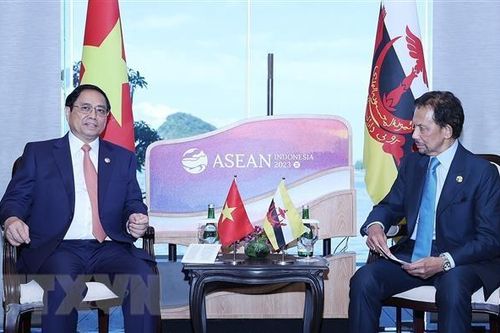 Việt Nam-Brunei thúc đẩy tăng trưởng thương mại đa dạng và cân bằng