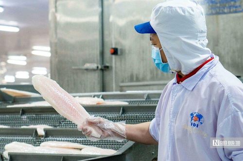 Thủy sản IDI có Tổng Giám đốc mới là kỹ sư xây dựng