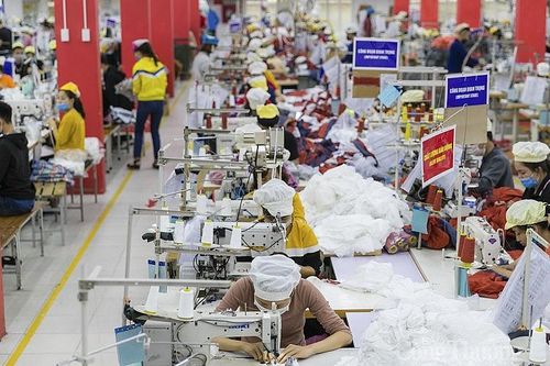 Nghệ An: Đẩy mạnh xuất khẩu hàng hóa sang thị trường Nhật Bản - Hàn Quốc