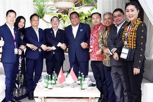 Phó Chủ tịch Quốc hội Nguyễn Đức Hải tiếp xúc song phương với Phó Chủ tịch Quốc hội Indonesia