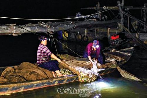 Ðáy bè trên sông Cửa Lớn