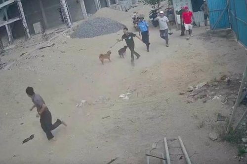 Đi giải quyết hợp đồng, giám đốc doanh nghiệp và lái xe bị đánh nhập viện