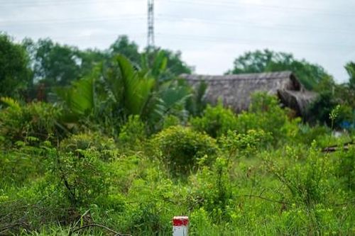 Đề nghị kỷ luật lãnh đạo một doanh nghiệp không giao đất làm đường Vành đai 3 TPHCM